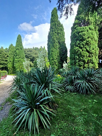 Miramare in Grignano - Garten