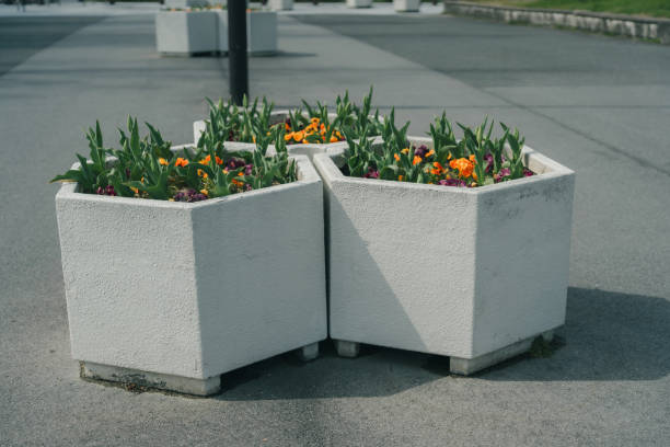 istock Three concrete flower pots with orange and purple flowers on a stone surface 2148965003