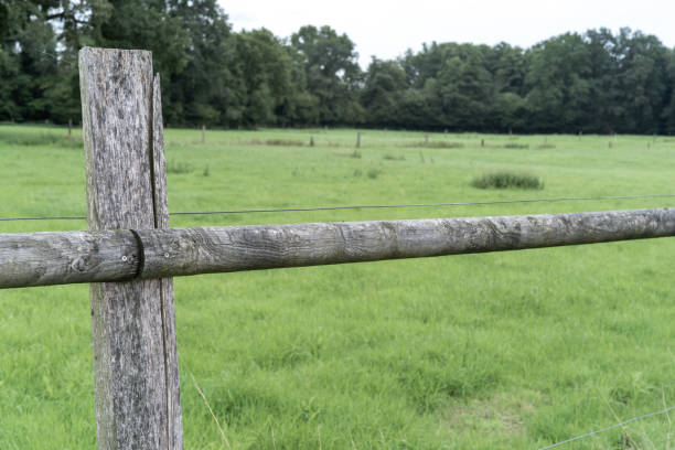istock fence in the landscape 2148968485