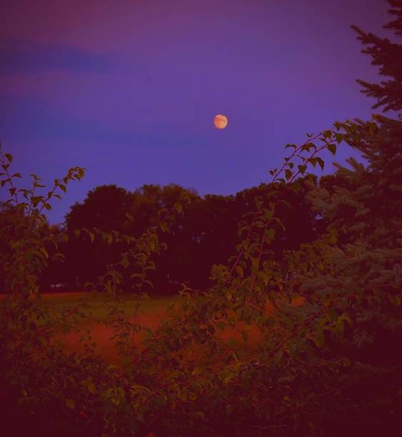 istock Harvest Moon in The Desert Sky 2148969600