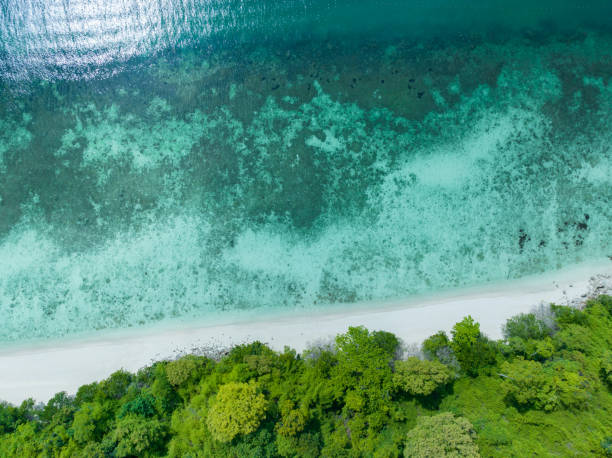 istock beautiful tropical sea beach,natural backgrouand 2148972943