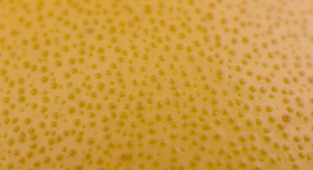 yellow pomelo peel in close up