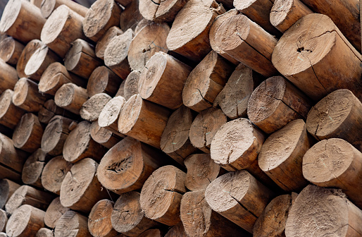 Close-up on logs of wood at a lumberyard