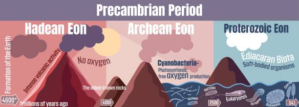 선캄브리아기 - precambrian time stock illustrations