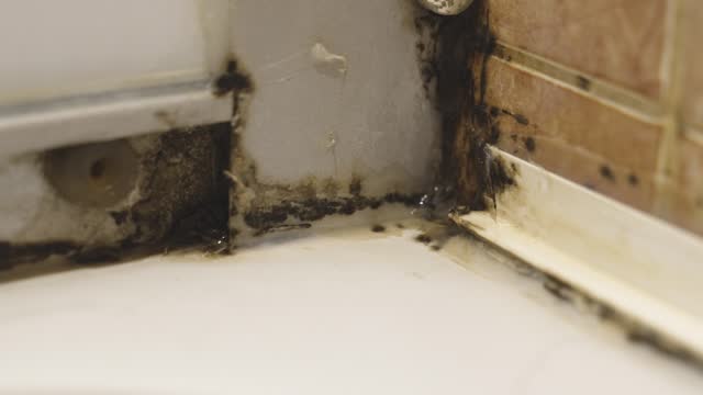 dirt and mold in an old shower.
