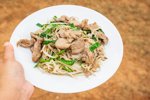 Close up of thit heo xao gia he or pork stir fried with bean sprout and chive, a Vietnamese cuisine. Slices of pork is marinated, bean sprouts and chives is washed, rinsed and cut into smaller pieces