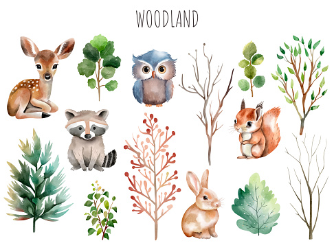 Set of wild watercolor forest animals. Green trees and plants. Woodland animals. Deer, owl, hare, squirrel.