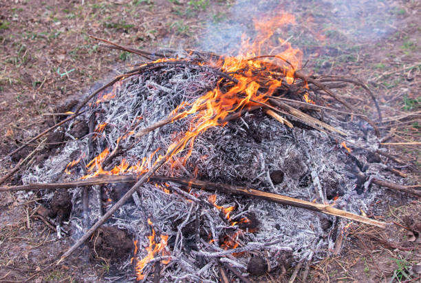 istock Burning firewood in a campfire, close-up 2148983971