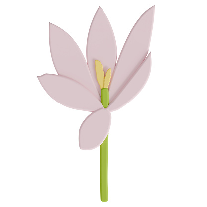 A crocus isolated on a white background in a cute decoration foam art style spring floral concept,3D illustration