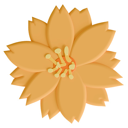 An orange cosmos isolated on a white background in a cute decoration foam art style spring floral concept,3D illustration