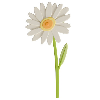 A daisy isolated on a white background in a cute decoration foam art style spring floral concept,3D illustration