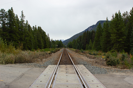 The train tracks that cross the Canadian Rocky Mountains surrounded by trees.