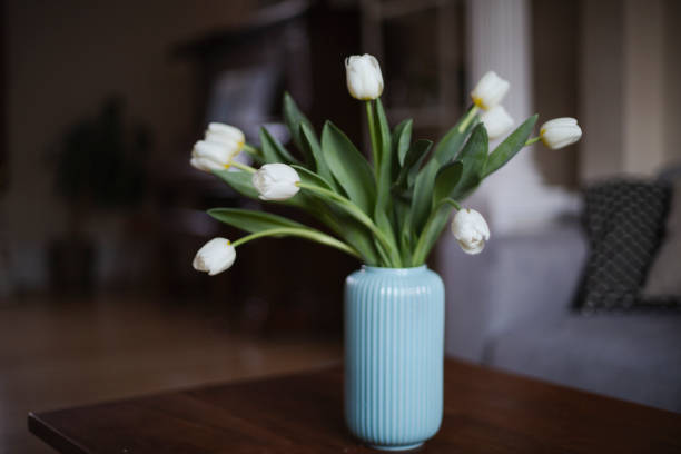 Tulips flowers in white vase on the living room coffee table. Composing bouquet. Still life