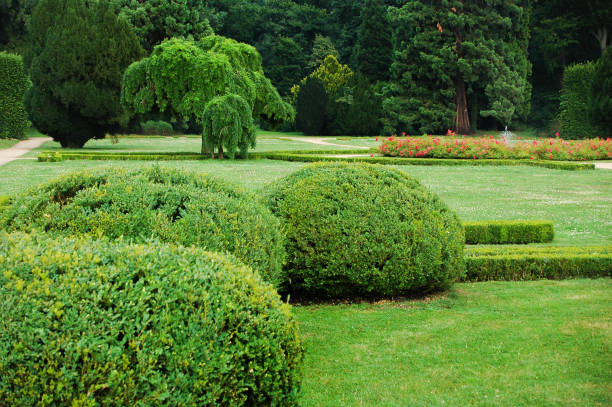 istock Manicured Garden Hedges in a Lush Green Park 2148990695