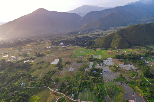 Aerial view of rice field at Samosir, North Sumatera