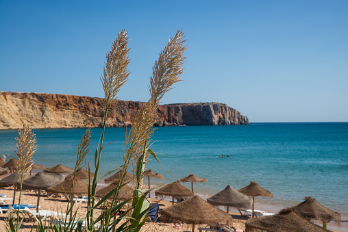 Sunny day at a serene beach in Lagos, Algarve, Portugal, showcasing golden cliffs, clear blue water, and straw umbrellas lining the shore.