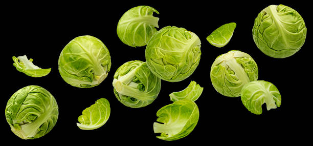 Brussels sprouts on black background