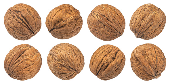Whole walnuts isolated on white background with clipping path, collection