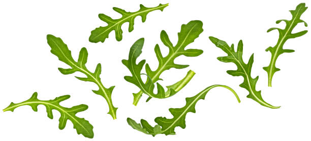 istock Rucola leaves, falling arugula salad isolated on white background 2148995291