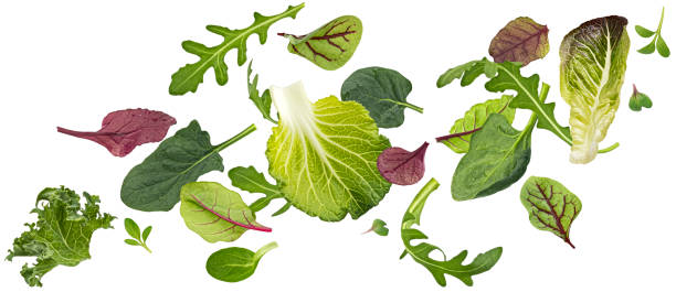istock Salad leaves mix isolated on white background 2148995294