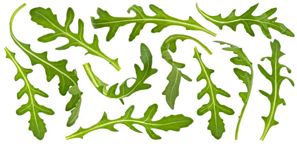 istock Rucola leaves, falling arugula salad isolated on white background 2148995296