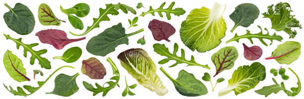 istock Salad leaves mix isolated on white background 2148995306