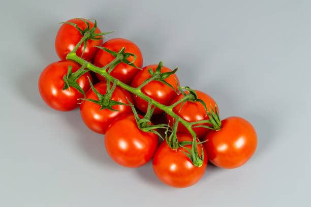 A bunch of red tomatoes are arranged in a row