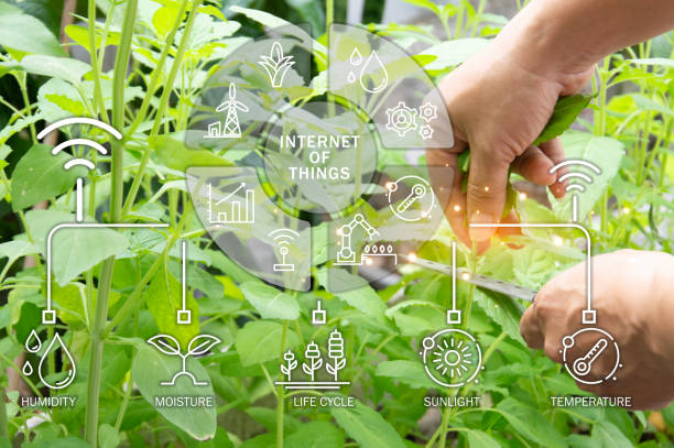 istock The concept of using AI and smart farming 2148996281
