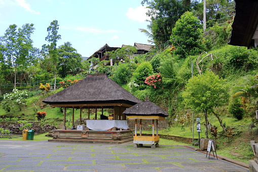 the Goa Gajah Temple, Ubud, Bali, Indonesia