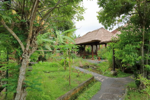 istock traditional green garden Bali, Indonesia 2148998664