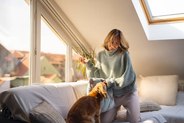 istock A woman and her dog are playing with pillows 2148998962