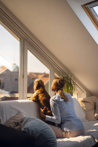 istock A woman and her dog looking through the window from behind 2148999467