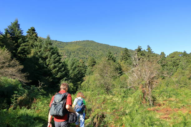 September 18 2023 - Llogara National Park in Albania: People enjoy hiking in the albanian forest