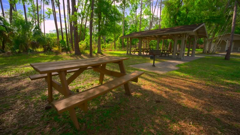 Picnic table in a park 4k HDR nature footage