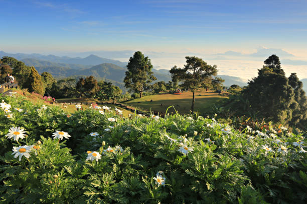 Huai Nam Dang National Park, The Spectacular sea of mist in Chiang Mai, Thailand