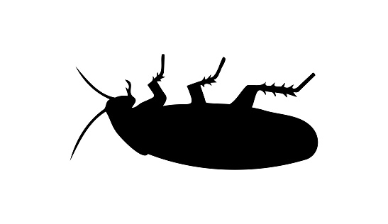 Black silhouette of dead cockroach lying on its back on white backdrop. Vector illustration. Good for pest control service ads, hygiene educational content, product labels for insecticides.