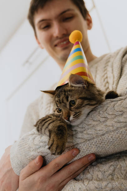 istock A young guy is holding a cat with a hat in his hands. 2149009570