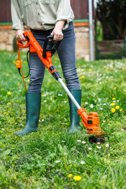 istock Woman cutting grass by weed trimmer in spring 2149010077
