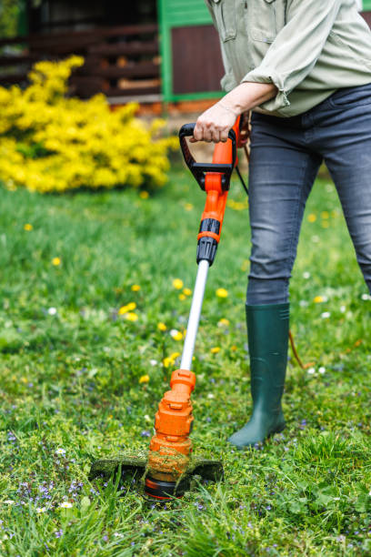istock Female gardener is cutting grass by weed trimmer 2149010096