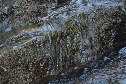 Water trickling Over Rocks In A Rural Creek In WV
