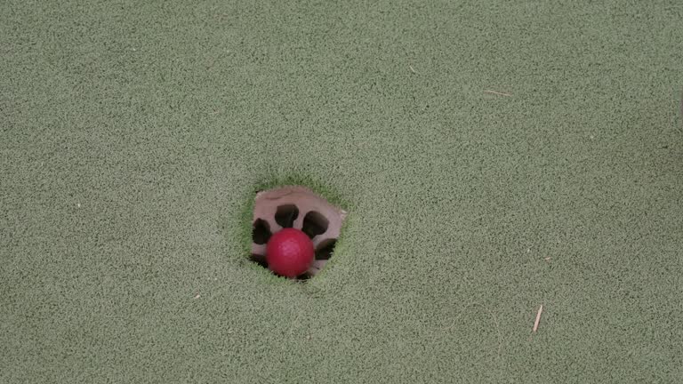 putter makes short shot mini golf