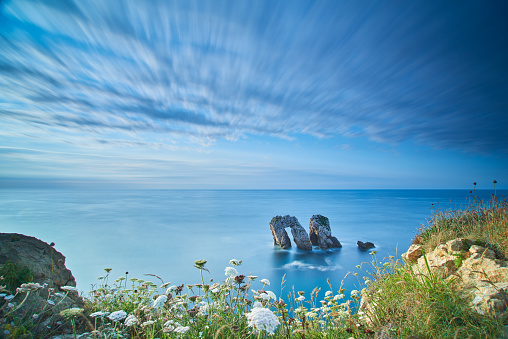 A seascape scenery with a rock formation, flowers in the foreground and fleeing clouds at the background