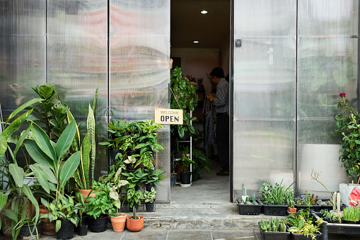 Small open coffee shop and garden center with variety of plants outdoors the door