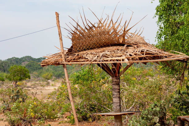 istock Yala National Park, Southern and Uva Provinces, Sri Lanka 2149018632