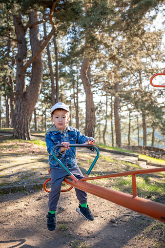 A joyful 3 year old young boy is having fun on a seesaw in a lively park setting, surrounded by tall pine trees and enjoying a bright sunny day Keywords highlight seesaw and park elements