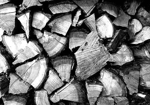 Stack of logs in black and white