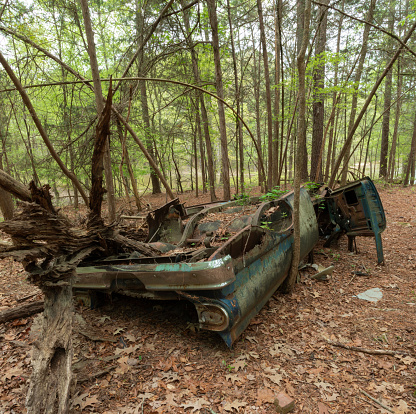 Rusted and falling apart car upside down in the forest on a hill just above Jordan Lake in North Carolina.