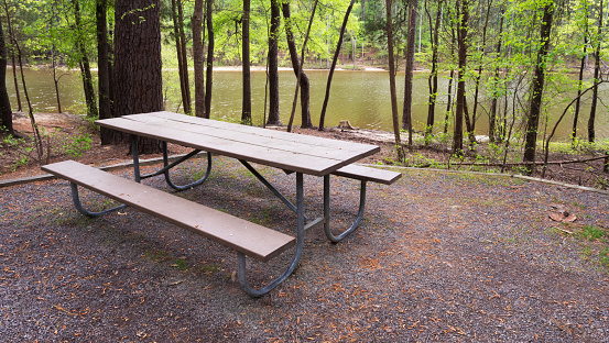 Picnic bench that is empty at a forested campsite near Jordan Lake in North Carolina.