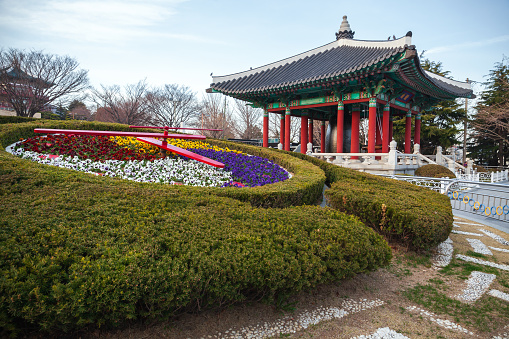 Flower clock at Yongdusan Park, the bell pavilion is on the background, Busan, South Korea