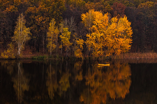 Man in yellow boat on the river in golden autumn, beautiful nature with colorful yellow trees and reflections on the water. Peaceful nature, Ukraine.